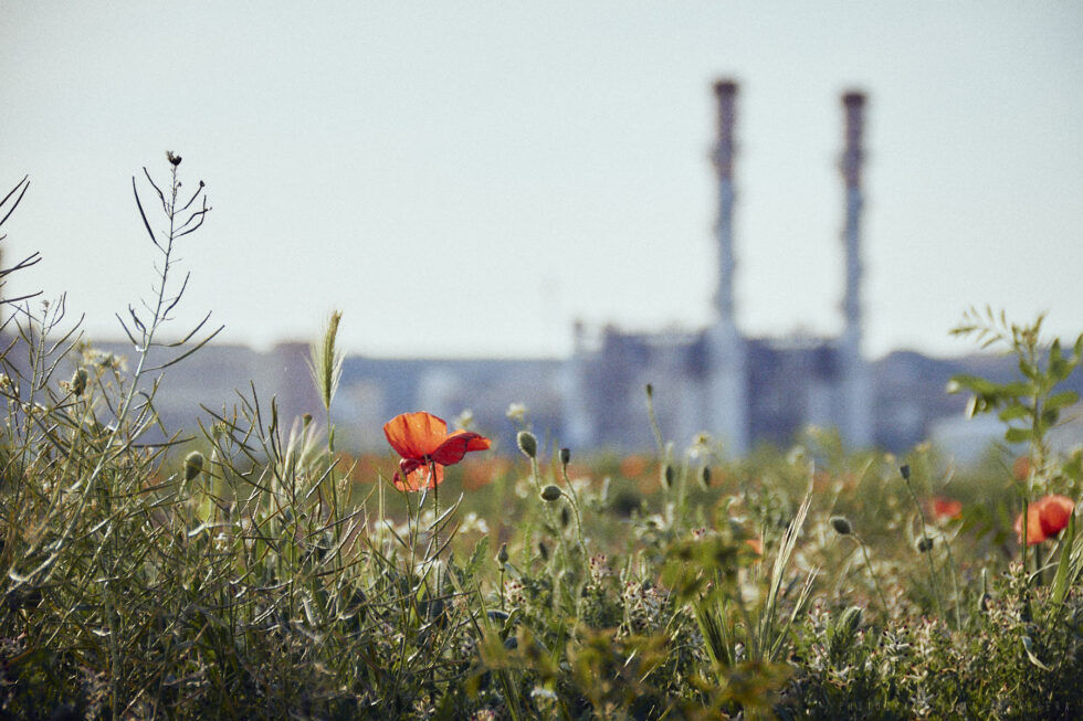 El mantenimiento invisible: cómo se sostiene una planta cuando nadie mira